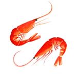 Prawn designs
