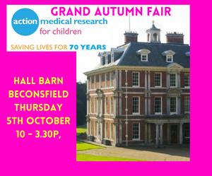 Grand Autumn Fair -  Hall Barn,Beconsfield
