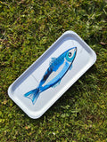 Medium Tray - Fresh Fish