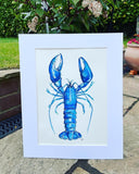 Blue Lobster Fine Art Print- unmounted