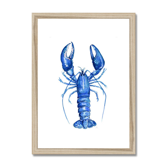 Blue Lobster Framed & Mounted Print